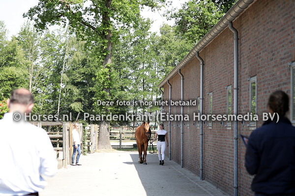 1 Jacky de la Vigne (Expression x Chardonnay v. Jazz x Negro)