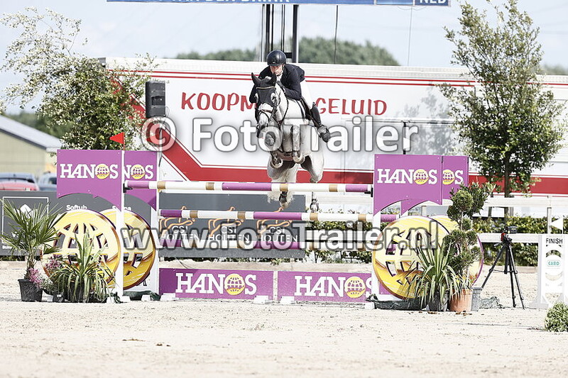 dennis van den brink