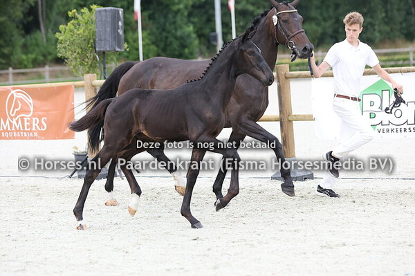 58 Vito Corleone SB (Secret USB x K-Minka v. Governor)