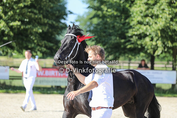 Rubriek 5 premiekeuring 4 jaar en ouder