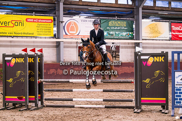 21 Beukers ponys 90/100cm