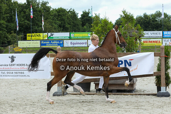 Algemeen Kampioenschap 