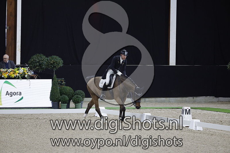 Willingapark Sky DiamondÂ 