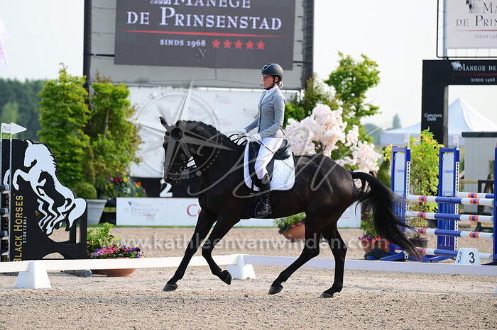 Diana Leenheer - OnlyT