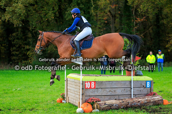 SGW Bathmen paard M 02-11-25