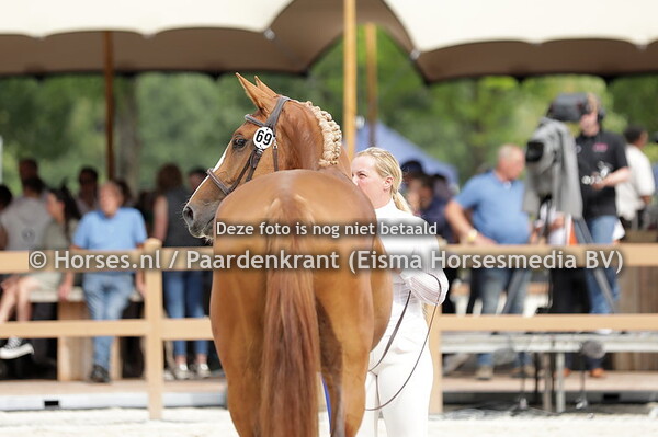 69 Pukendy (Jilbert van't Ruytershof x Kackendy v. Action Breaker)