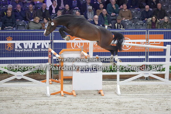 01 en 02-02-23 HK Den Bosch 2e bez springhengsten