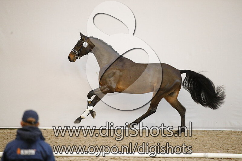 NN v. Franz Ferdinand