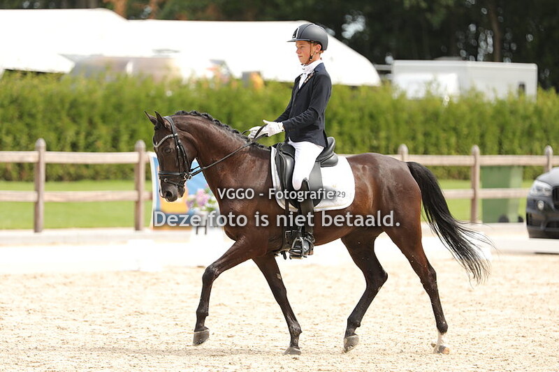 Ring 1 & 2 DE-M1 & M2