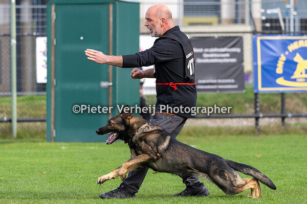 Jurgen Wolfs met Ultra van Osila's Hof