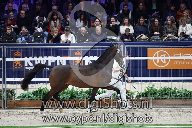 Special One v. Livius