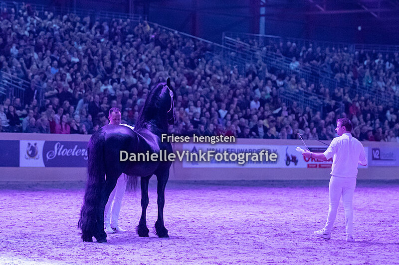 Hengstenkeuring 2023 Matthys 504