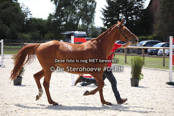 8. Merries 4jaar en ouder springen