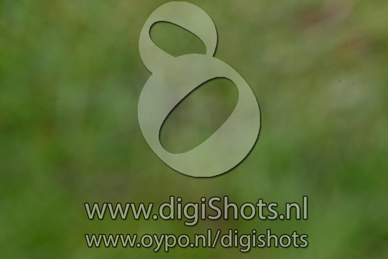 Dressuur Z1 Z2 cat C