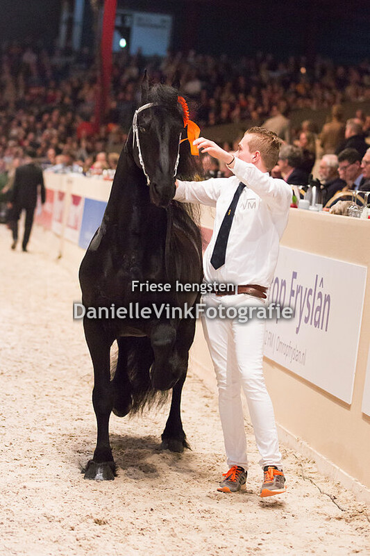 Hengstenkeuring 2018 Sake 449