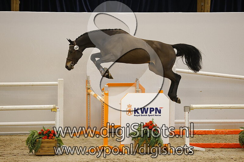 Notorius v. High Shutterfly