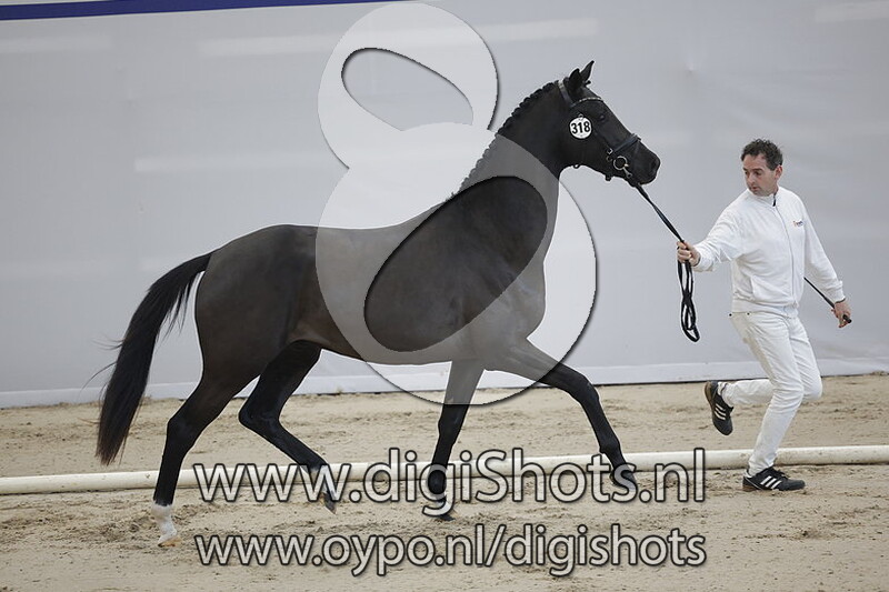 Perfect v. Desperado - 318