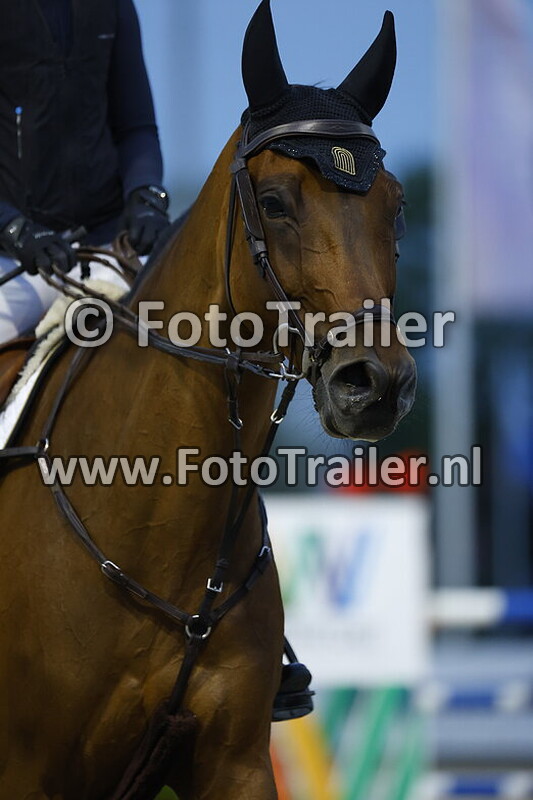 cirsten cecile dohrmann