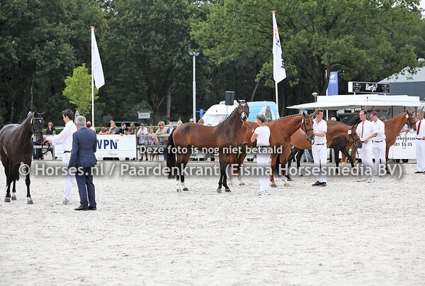 KWPN Kampioenschappen Gelders Paard  2019
