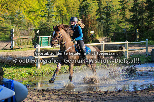 Trainingen Margo in Hernen Groep 2 17:00 03-05-23