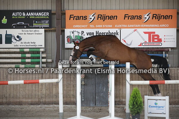 35 Kayra (Berlin x Select v. Silvio I)