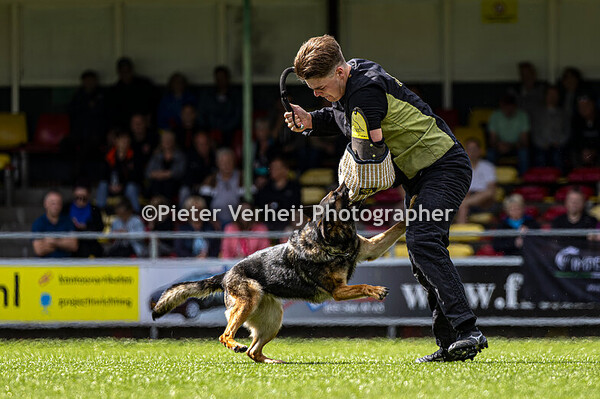 Lot nr 6 Karel Bloem