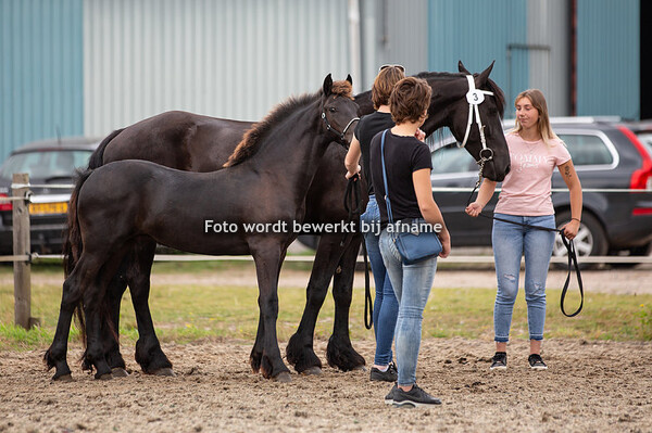 03. Magic Mike van Zomerstaete