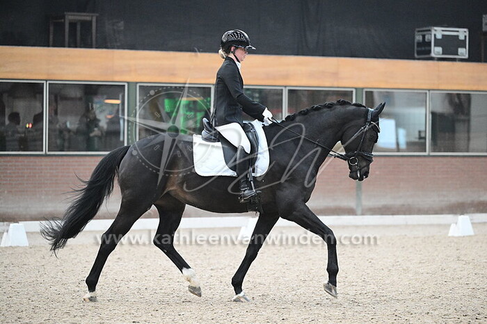 Danae ter Steeg - Infinite Indy