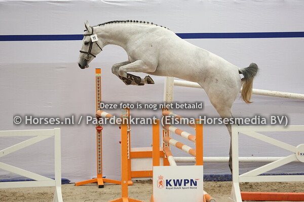 11 (Cabrio van de Heffinck x Up to Date)