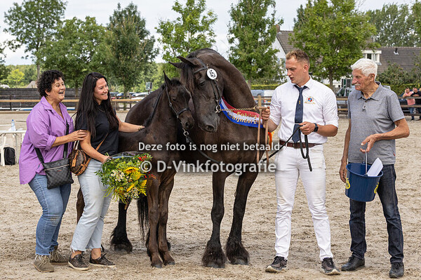 Kampioen hengstveulens