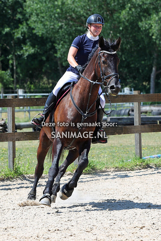 Manege Groenewoude Springen 25-06-2023 Paarden 80-90 cm