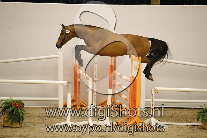 Massimo SMH v. Impressive VDL