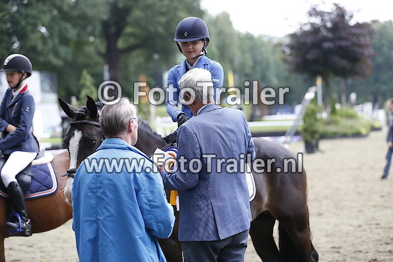 Rubriek 82 - Klasse M Cat. DE