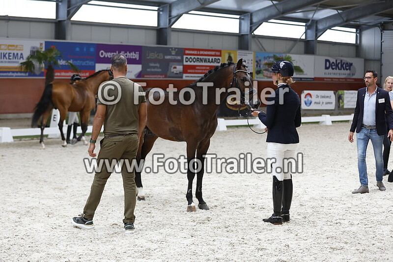 dpc 6 jarige groep 5