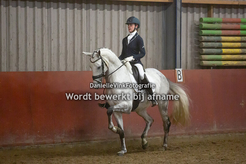 08. Klasse M1 paard