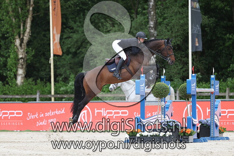 Adsl van WwwOllanDBiz