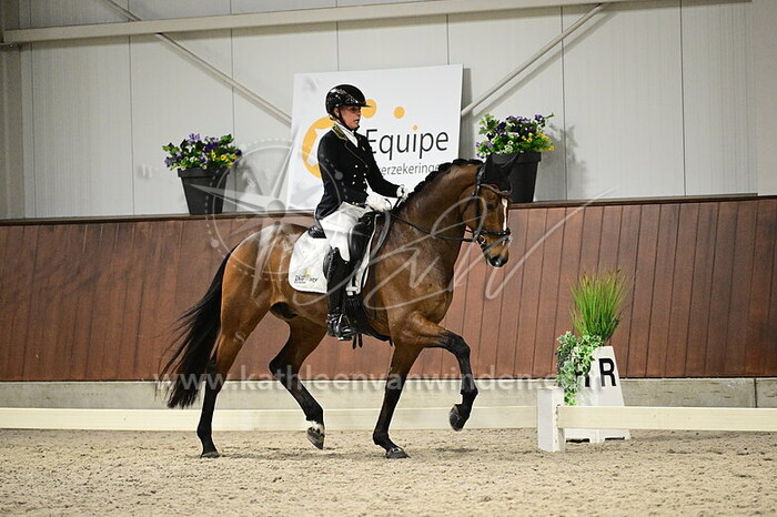 Krista Kolijn - Rico