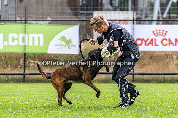 Marieke van Eldik met haar Irmo Cwinta van de Maas Niers Vallei