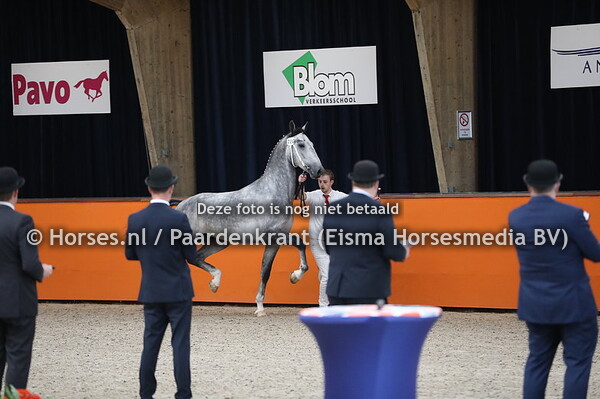 720 Nevaro van Altrido