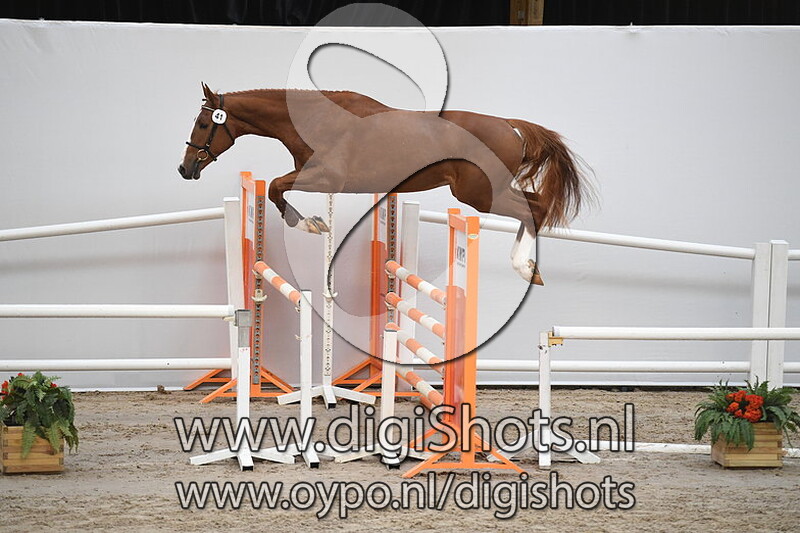 Chaperon RV Z v. Cicero Z van Paemel