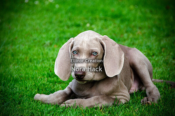 Vrijdag 14 augustus 2020