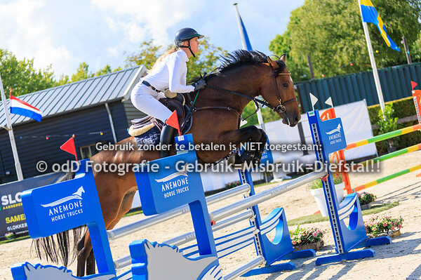 klaverblad concours hoevelaken 110cm 05-09-25