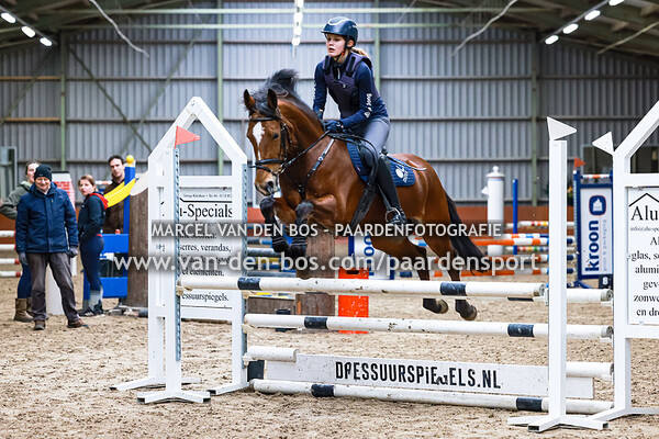 20240224-pony-80-90cm