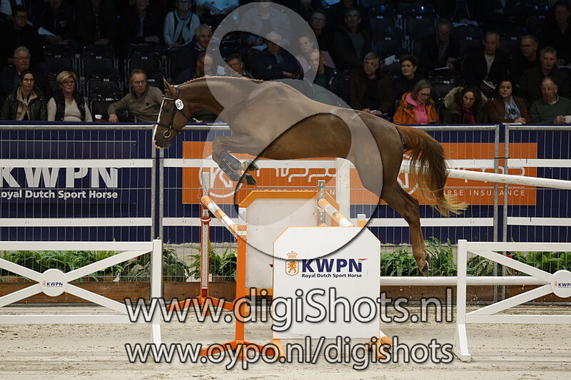 Edingurgh Optimus Z v. Ermitage Kalone - 067