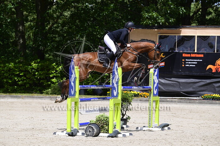 Caitlyn Krijger - Medea Bella van de Prinsenstad