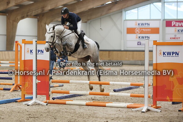 1 Oceane (Zirocco Blue x Kamille v. Comme il faut)