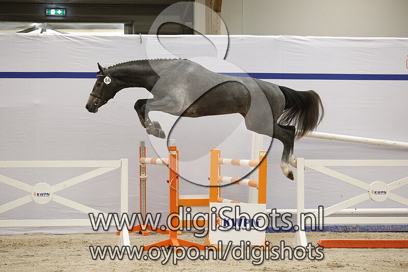 Spoetnick BS v. Emir R