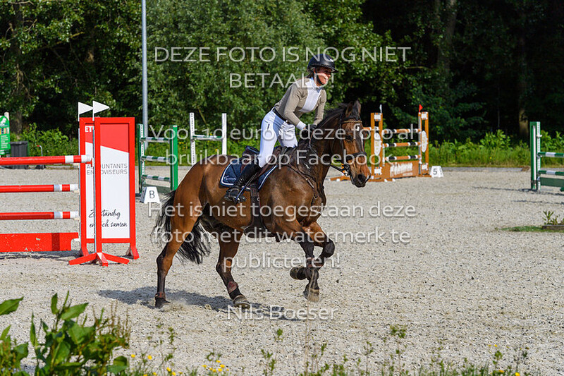 6 Paarden 130 Barrage