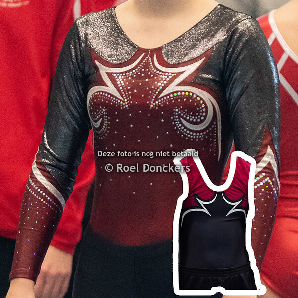 Leeuwse dans en gymclub TRA