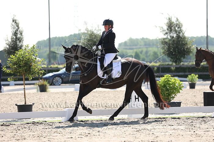 Anoeska de Groot - Limited Edition